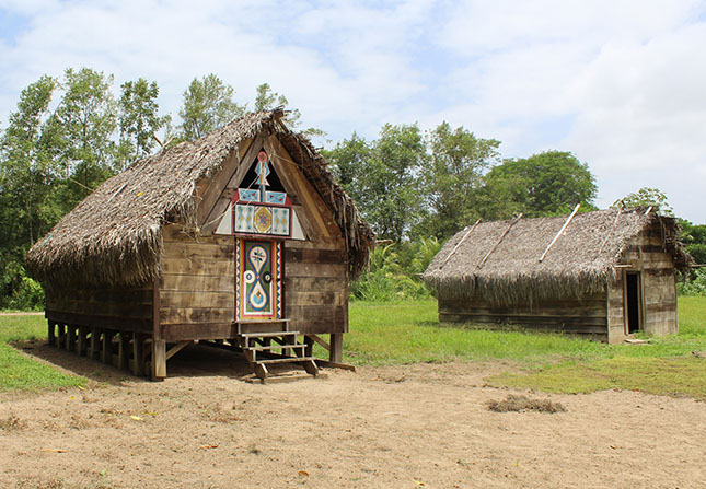 Geleneksel Surinam Marun evleri