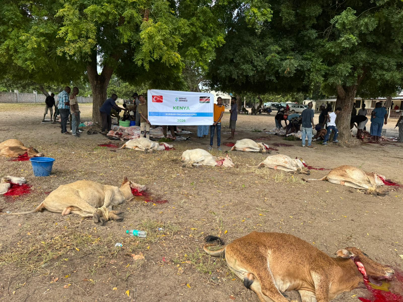 2026 Vacip Kurban Kenya