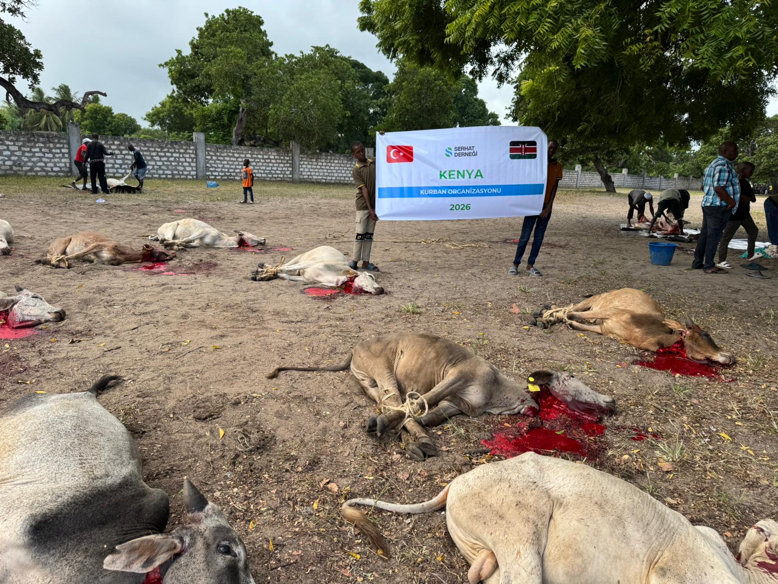 2026 Vacip Kurban Kenya