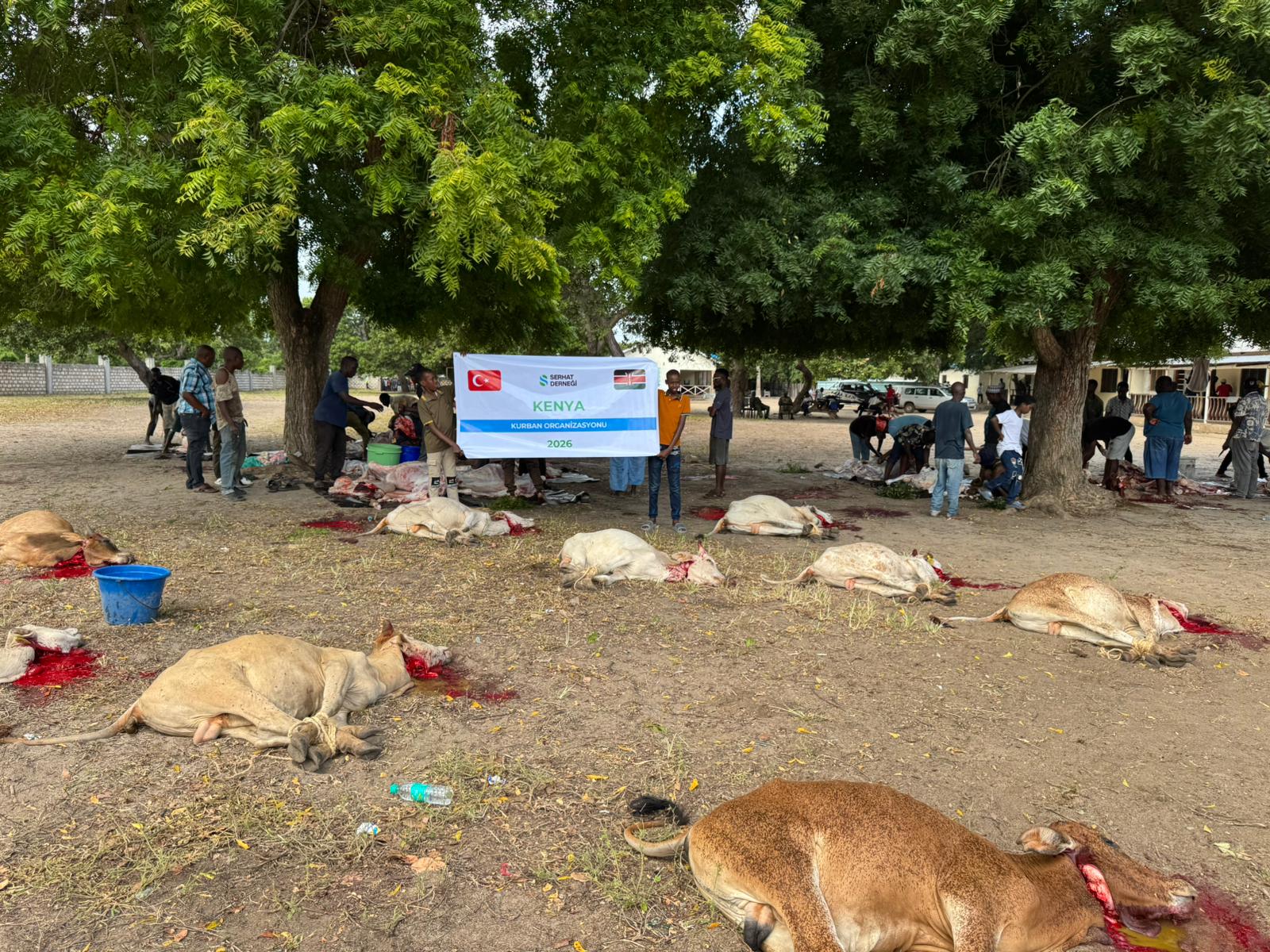 2026 Vacip Kurban Kenya