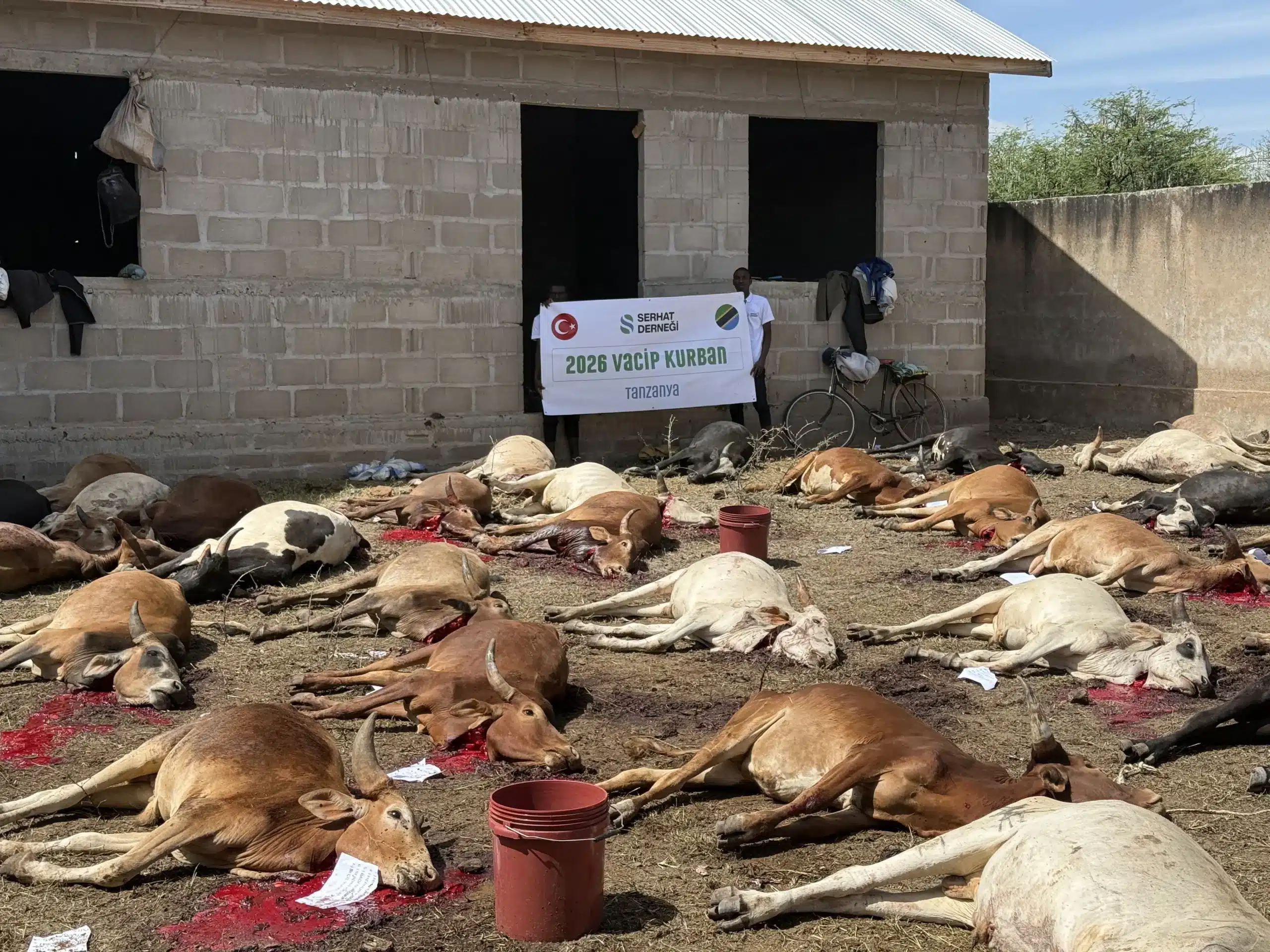 2026 Vacip Kurban Kenya